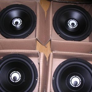 the 8's