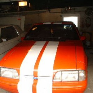 mustang