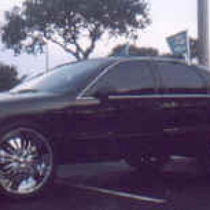 bigD1_small
