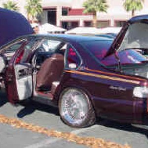 Moeimpala06_small
