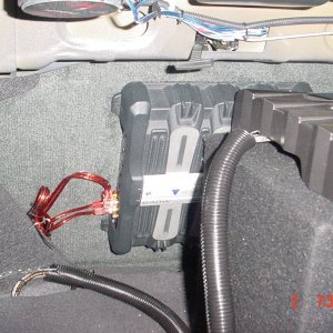 Trunk #2