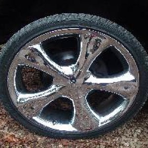 20" Alba Blades