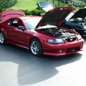 Roush Mustang
