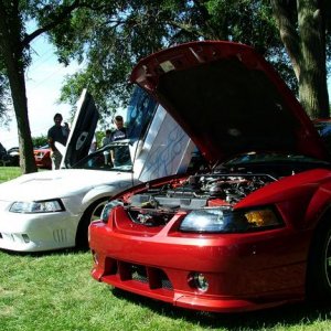 Mustang Memories