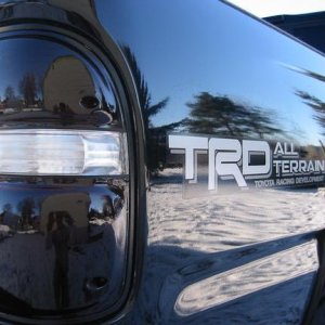 Tinted tails