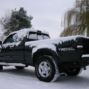 Tinted tails
