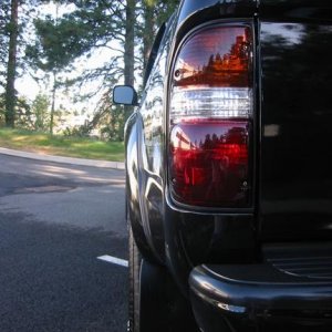 Tinted tails