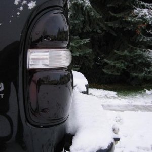 Tinted tails