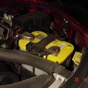 Optima Yellow Top