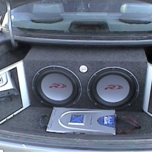Fulll Trunk Shot