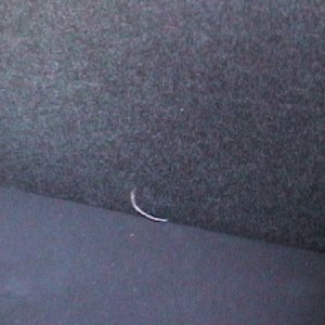 portex box #5