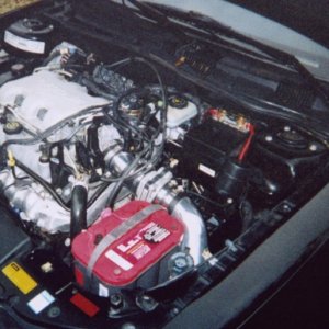 optima