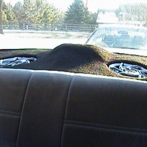 Picture341