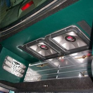 Trunk View