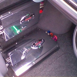 Trunk View 2