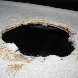 speaker hole