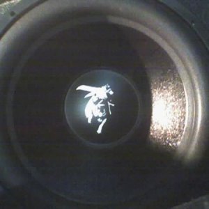 brahma 15