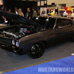 RE Mustang