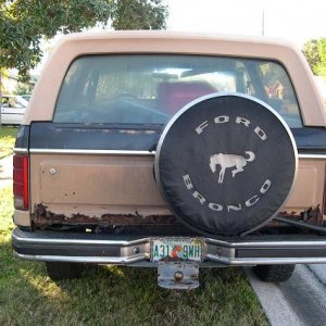 bronco1