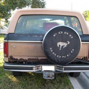 bronco1_886121