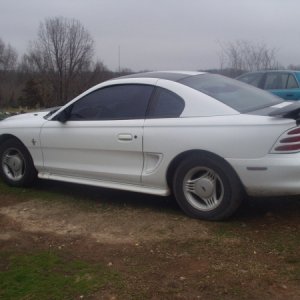mustang
