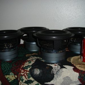 CMP 8