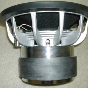 BPD 1203