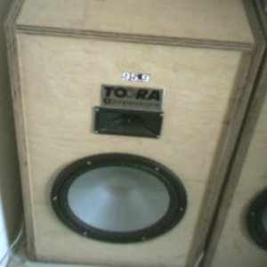 My 12" subwoofers bravox