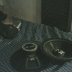 2 12" B-52 woofers