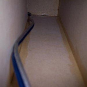 enclosure 6