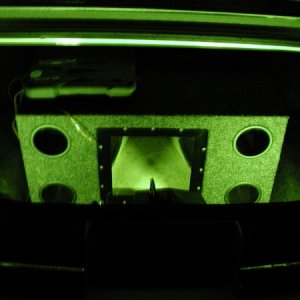 Lighting up the Whole trunk