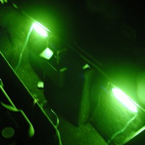 The 2 neons that light up the whole trunk