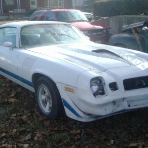 MY '79