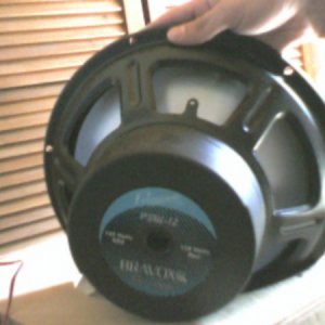 Bravox back