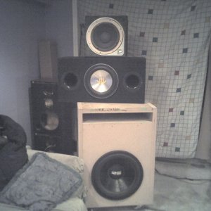 mt 18, polk 12, foster custom driver