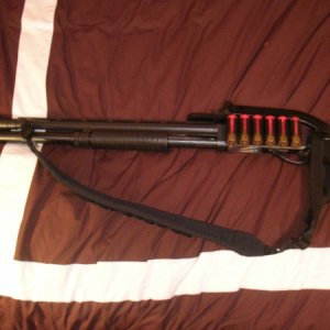 My new baby
