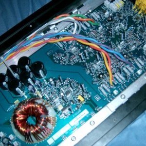 amp