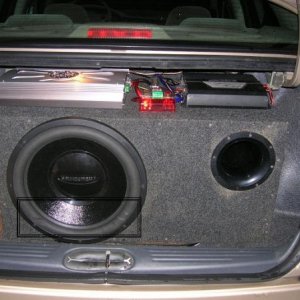 trunk pic 1