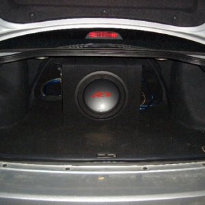 Trunk