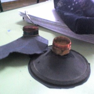 220 volts (wall socket) vs voice coils xD