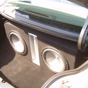 trunk shot