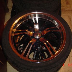 18" Konig Unknowns