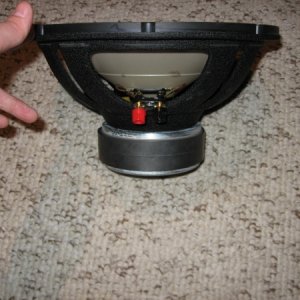 infinty 12" 1230W