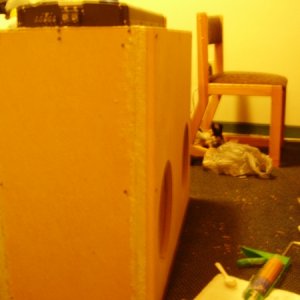 Still sitting in my room