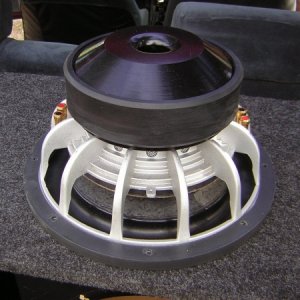 TC9 12" DVC