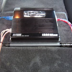 Amp