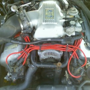 1998 cobra motor