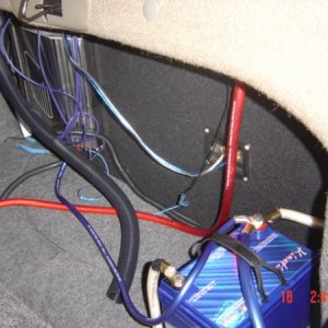 The Trunk