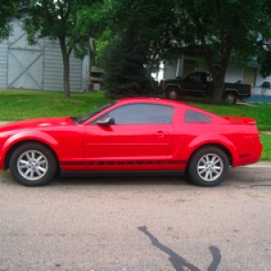 My 2005 Mustang