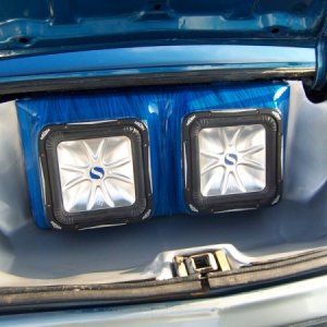 trunk
